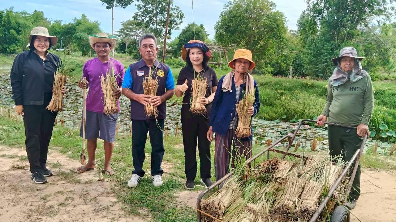 title - ส.ป.ก.ยโสธร จัดกิจกรรมปลูกหญ้าแฝก (อนุรักษ์ดินและน้ำ) ในเขตปฏิรูปที่ดิน โครงการพัฒนาและรณรงค์การใช้หญ้าแฝกอันเนื่องมาจากพระราชดำริ ประจำปีงบประมาณ พ.ศ. 2569